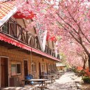 구마황토민박 이미지