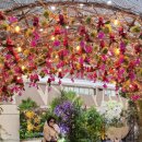 일산호수공원꽃박람회 이미지