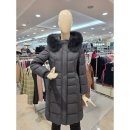 크로커다일 레이디 이미지