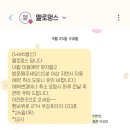 멜로멍스 | 영종도 강아지 미용/용품점 추천 &#39;멜로멍스&#39; 13살 말티즈 미용후기