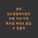 광주 남도달밤야시장은 언제 가야 지역 특산을 제대로 즐길 수 있을까