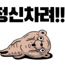 컬러에이전트 이미지