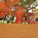 우제류를위하여 이미지