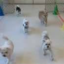 엘라 유치원 이미지