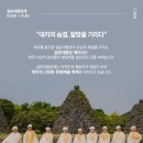 제19회 설문대할망 페스티벌 네이버블로그