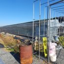 하우스농장 이미지