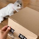 뭐먹냥? | 고양이동결건조간식 건강과 맛까지 잡은 뭐먹냥 닭가슴살 순살연어 기호성 대박!