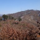 숭선고개길 Daum카페