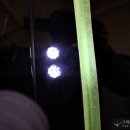 그림같은광택 이미지