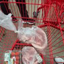 대형타이어 할인마트 | 내돈내산 24시천안대형마트 중앙할인마트 방문후기 할인정보