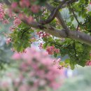 포항수영장 이미지