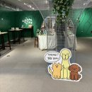더현대 대구 4월 팝업스토어 초록도 방문 후기
