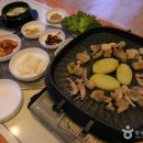 영골숲 Daum카페