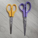 수니컴퍼니 이미지