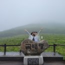 곰배령칼국수 이미지