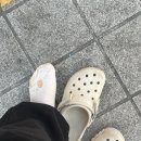 주은세탁 이미지