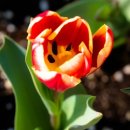 정아여인숙 이미지