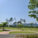 가산공원 파크골프장 이미지