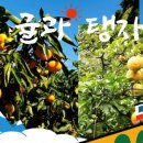 훈이농장 이미지