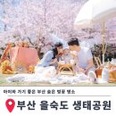하단동1207 | 부산 숨은 벚꽃 명소 아이와 을숙도 생태공원