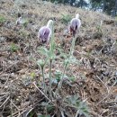 으뜸농약 이미지