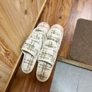 스테이 꿈의대화 이미지