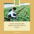 영임농장 이미지