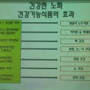 드림핏