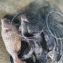 중해레저낚시터 이미지