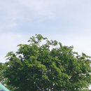 성헌농장 이미지