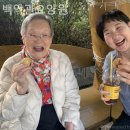 대산월드프라자 | 인천 계양구 요양원 백악관요양원 비용 한눈에 보기