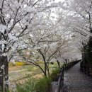 황새울5길 이미지