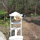 유성궁도장 이미지