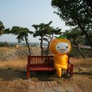 감귤박물관 이미지