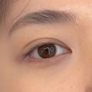 중앙동303 | 안산 고잔동 속눈썹펌 맛집 [미유 안산점] 국제대회 1위 2관왕 뷰티샵 후기