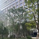 우돈마당 | 가산역 퍼블릭가산 신상 맛집 요미우돈교자 직장인 점심 후기