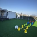 네모강아지 | 대형견 동반 여행 추천! 여수 네모 애견동반 풀빌라 펜션 솔직 후기