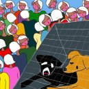 소이네 닭장 이미지