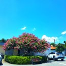 웅포면 행정복지센터 이미지