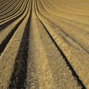 교통문화연수원 중강당 이미지