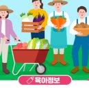 부평농산물