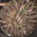 양이랑 말이랑