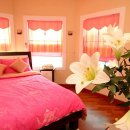 물안개피는 강가펜션 이미지