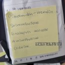 닥터서동물심장병원 | 닥터서동물심장병원 노령견 심장병 초진