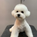 몽몽살롱 이미지