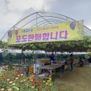 사동농장 이미지