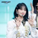 채원 이미지