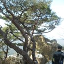 금곡목장 이미지