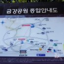 금정카 이미지