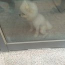 미그린미용실 이미지